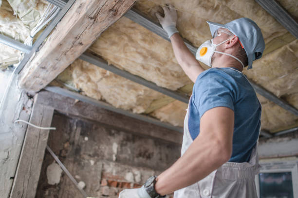 Range of Insulation Solutions in Paincourtville, LA