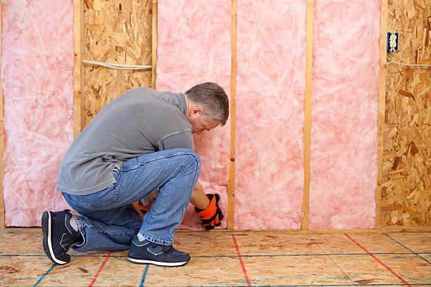 Best Local Insulation Services  in Paincourtville, LA